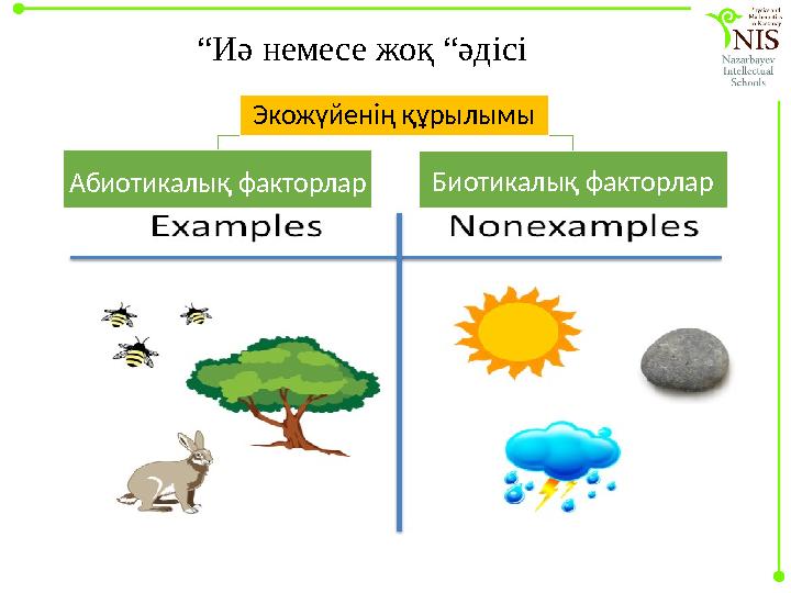 Экожүйенің құрылымы Абиотикалық факторлар Биотикалық факторлар“ Иә немесе жоқ “әдісі