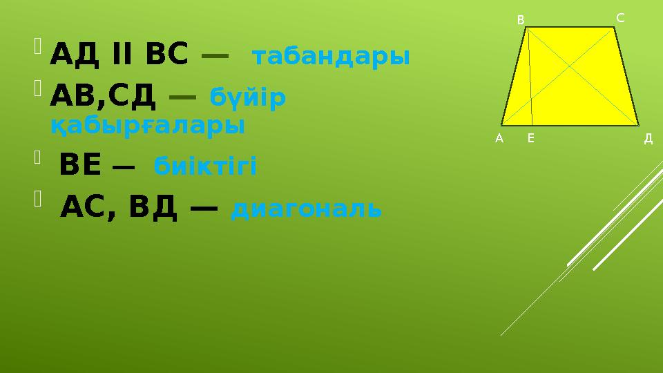  АД II ВС — табандары  АВ,СД — бүйір қабырғалары  ВЕ — биіктігі  АС, ВД — диагональ А В С ДЕ