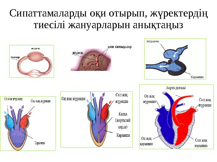 Мағынасы бар гей-порно фильмдер Ленкино Николь Энистон порно кастинг