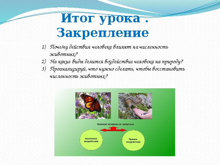 Итог урока . Закрепление 1) Почему действия человека влияют на численность животных? 2) На какие виды делится воздействие че