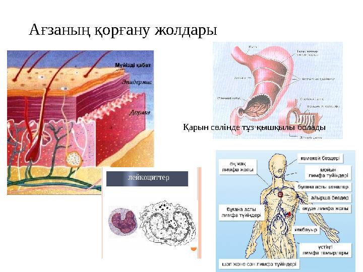 Монахтармен жасырын камера секс