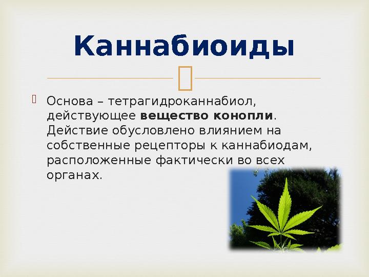   Основа – тетрагидроканнабиол, действующее вещество конопли . Действие обусловлено влиянием на собственные рецепторы к ка