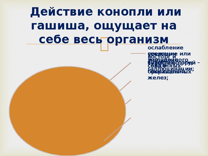  Действие конопли или гашиша, ощущает на себе весь организм восторг и эйфория, порой – галлюцинации;сухость во рту;ослабле