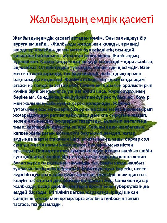 Жалбыздың емдік қасиеті Жалбыздың емдік қасиеті ертеден мәлім. Оны халық жүз бір ауруға ем дейді. «Жалбызды жерде жан қалады, е