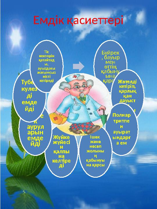 Бүйрек , бауыр мен өттің қабыну ына қарсы Жөтелді кетіріп, қарлық қан дауыст ы ашады Полиар тритпе н ауырат ындарғ а ем