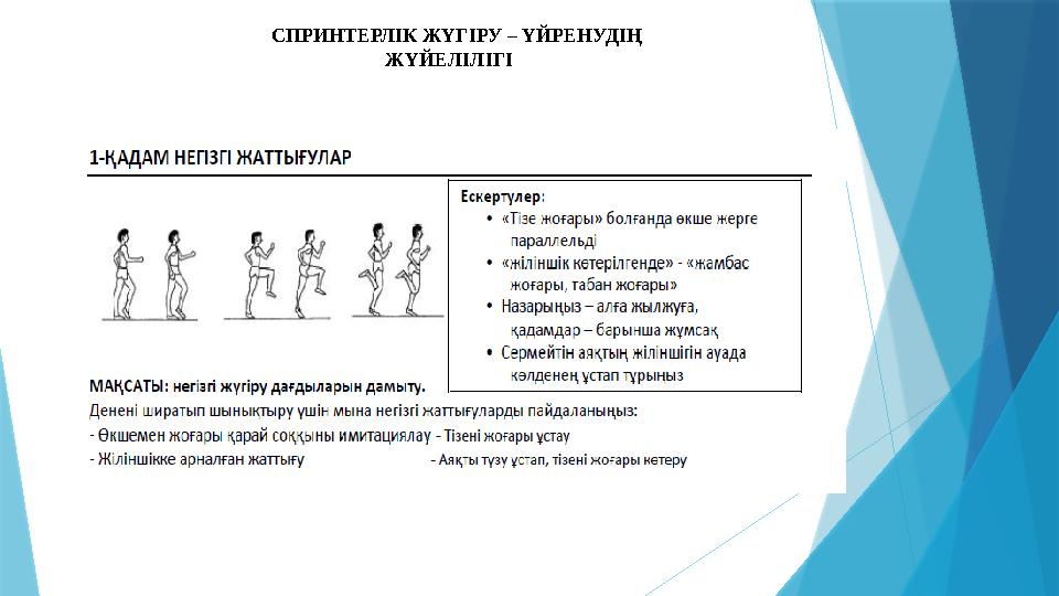 СПРИНТЕРЛІК ЖҮГІРУ – ҮЙРЕНУДІҢ ЖҮЙЕЛІЛІГІ