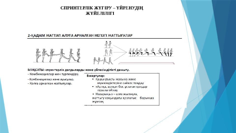 СПРИНТЕРЛІК ЖҮГІРУ – ҮЙРЕНУДІҢ ЖҮЙЕЛІЛІГІ