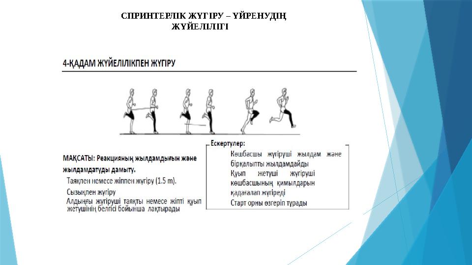 СПРИНТЕРЛІК ЖҮГІРУ – ҮЙРЕНУДІҢ ЖҮЙЕЛІЛІГІ