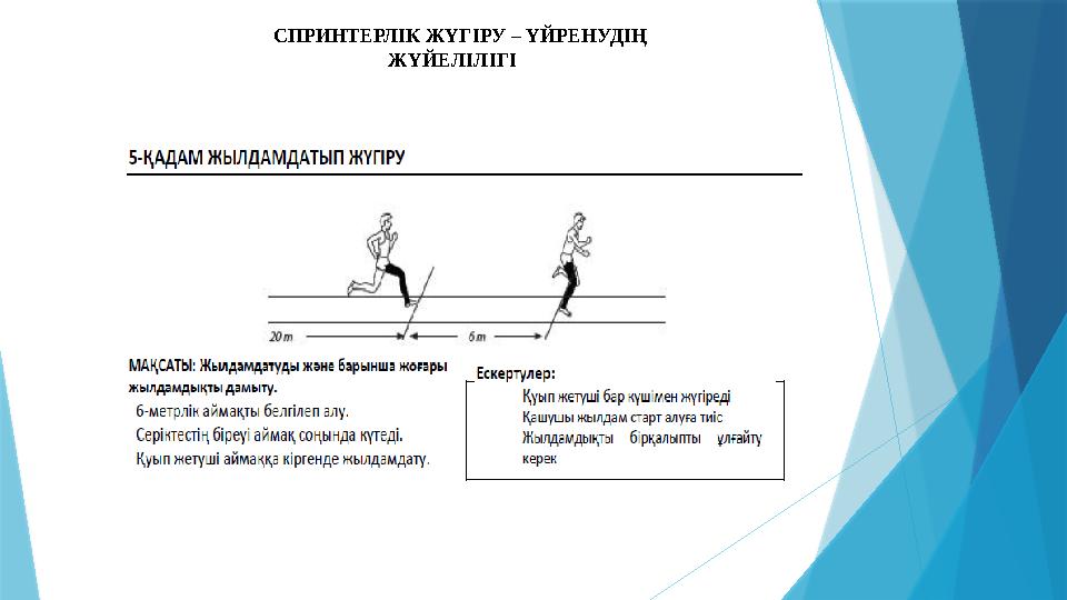 СПРИНТЕРЛІК ЖҮГІРУ – ҮЙРЕНУДІҢ ЖҮЙЕЛІЛІГІ