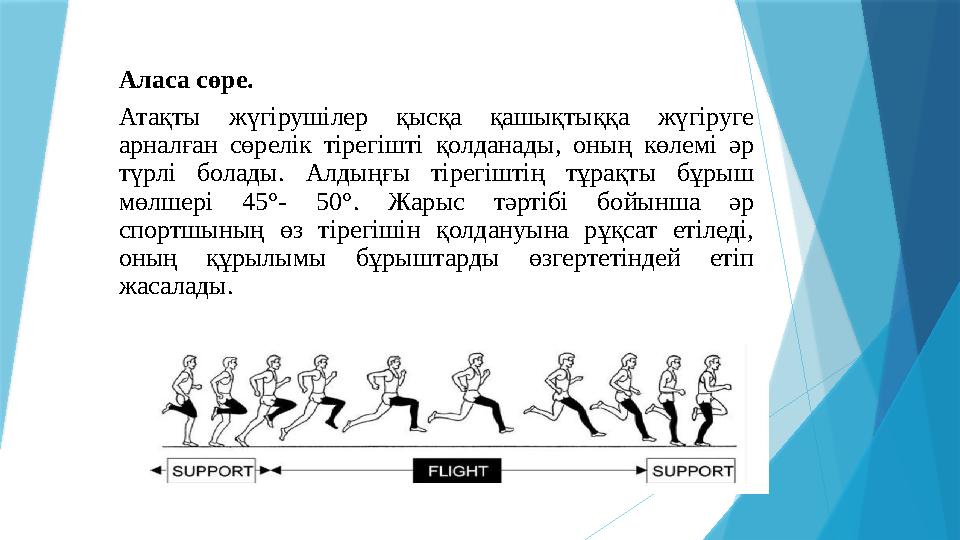 А ласа сөре. Атақты жүгірушілер қысқа қашықтыққа жүгіруге арналған сөрелік тірегішті қолданады, оның көлемі әр түр