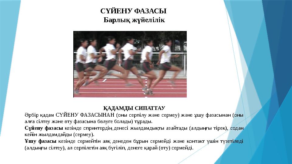СҮЙЕНУ ФАЗАСЫ Барлық жүйелілік ҚАДАМД Ы СИПАТТАУ Әрбір қадам СҮЙЕНУ ФАЗАСЫНАН (оны серпілу және сермеу) және ұшу фаз