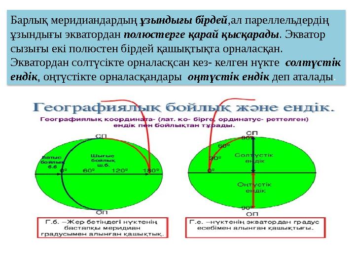Барлық меридиандардың ұзындығы бірдей ,ал пареллельдердің ұзындығы экватордан полюстерге қарай қысқарады . Экватор сызығы ек
