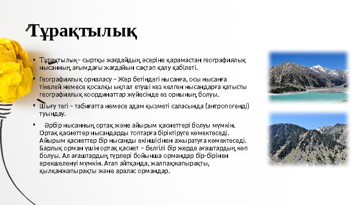 T ұрақтылық • T ұрақтылық – сыртқы жағдайдың әсеріне қарамастан географиялық нысанның ағымдағы жағдайын сақтап қалу қабілеті. •