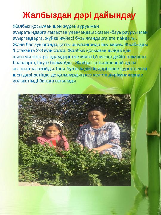 Жалбыз қосылған шәй жүрек ауруымен ауыратындарға,тамақтан уланғанда,асқазан -бауырауруы мен ауыргандарга, жүйке жүйесі бұзылға