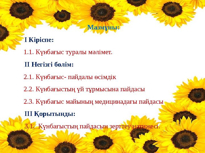 MSN-ге жүгіру