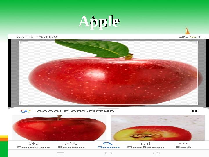 Apple Apple