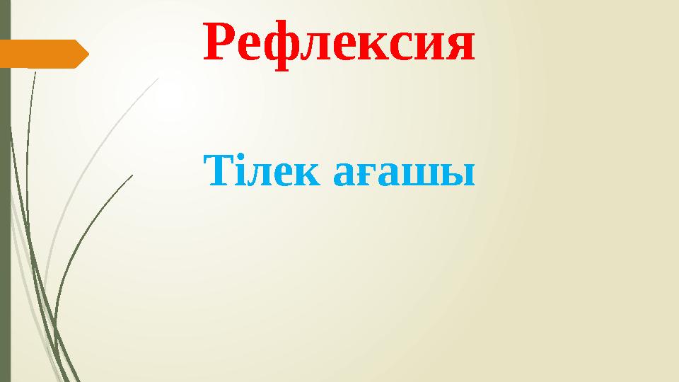 Рефлексия Тілек ағашы