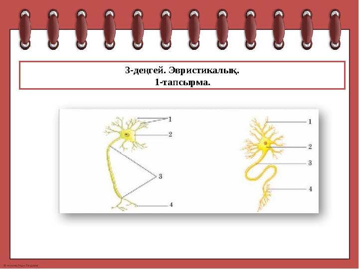 3-деңгей. Эвристикалық. 1-тапсырма.