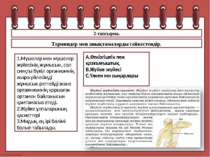 2-тапсырма. Терминдер мен анықтамаларды сәйкестендір . 1.Мүшелер мен мүшелер жүйесінің жұмысын, сол сияқты бүкіл организмнің