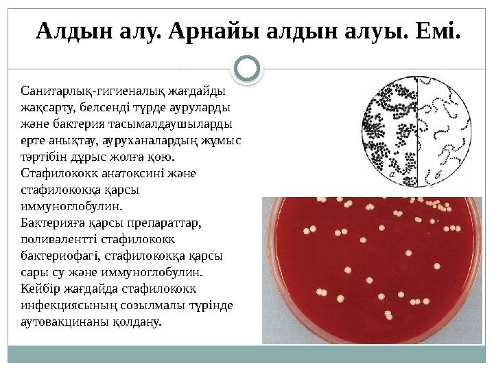 Санитарлық-гигиеналық жағдайды жақсарту, белсенді түрде ауруларды және бактерия тасымалдаушыларды ерте анықтау, ауруханаларды