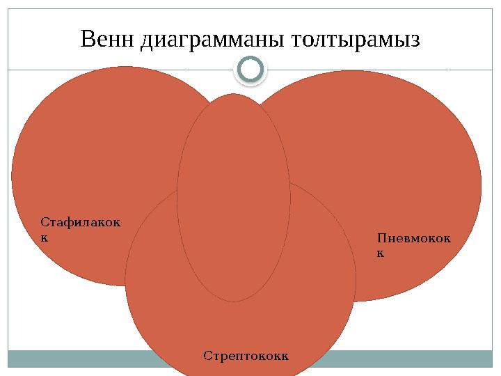 Венн диаграмманы толтырамыз СтрептококкСтафилакок к Пневмокок к