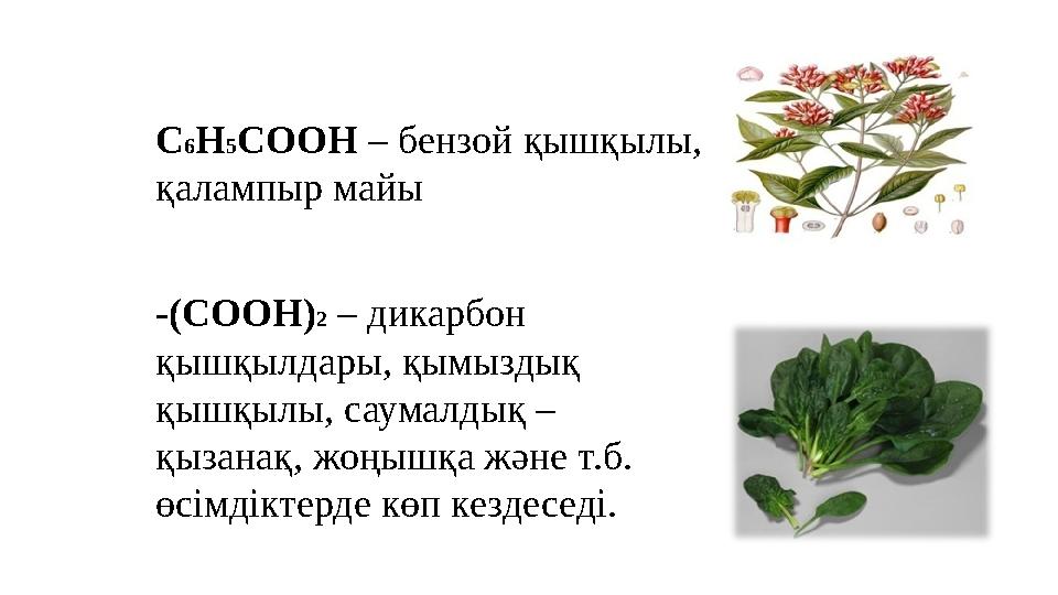 C 6 H 5 COOH – бензой қышқылы, қалампыр майы -(COOH) 2 – дикарбон қышқылдары, қымыздық қышқылы, саумалдық – қызанақ, жо
