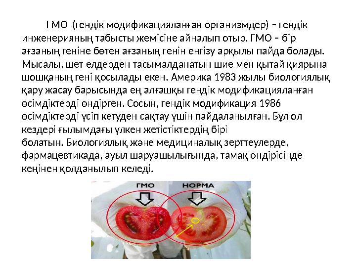 ГМО (гендік модификацияланған организмдер) – гендік инженерияның табысты жемісіне айналып отыр. ГМО – бір ағзаның геніне бө