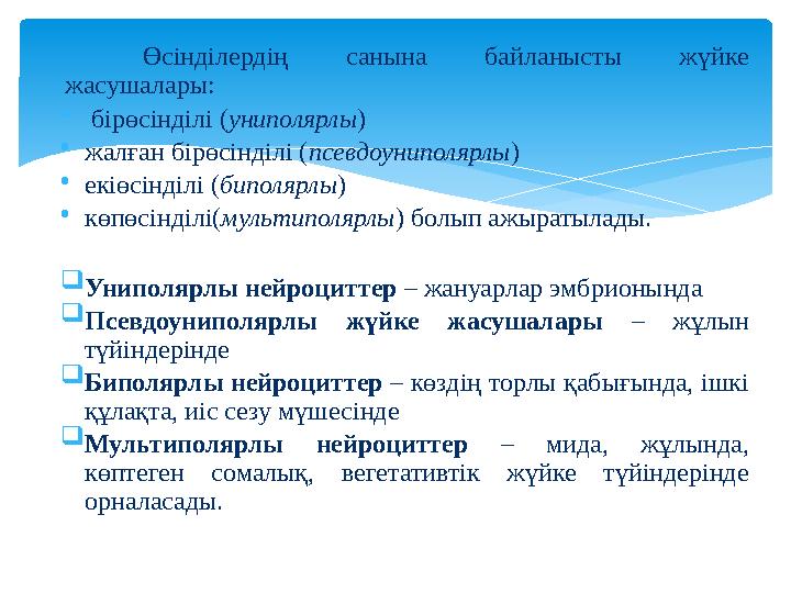Өсінділердің санына байланысты жүйке жасушалары: • бірөсінділі ( униполярлы ) • жалған бірөсінділі ( псевдоуниполярлы ) •