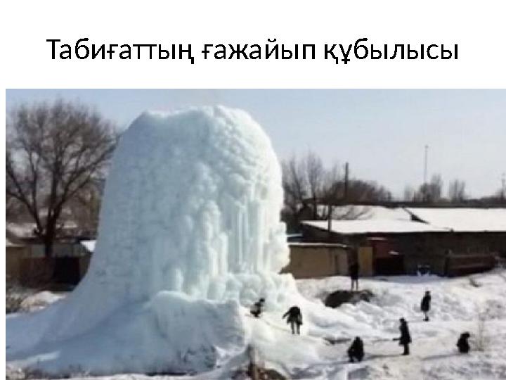 Табиғаттың ғажайып құбылысы