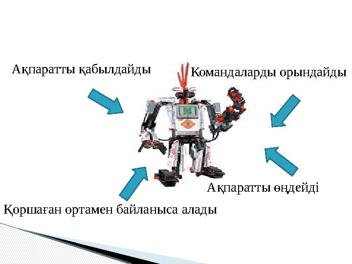 Ақпаратты қабылдайды Қоршаған ортамен байланыса алады Командаларды орындайды Ақпаратты өңдейді