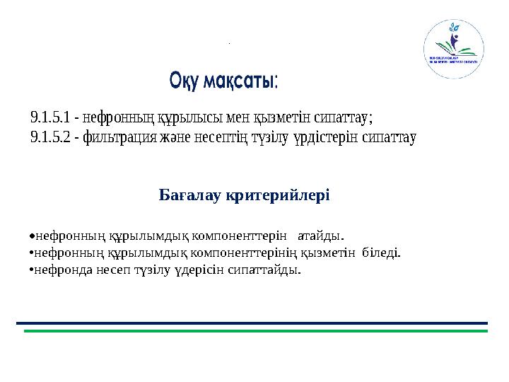. Бағалау критерийлері9.1.5.1 - нефронның құрылысы мен қызметін сипаттау; 9.1.5.2 - фильтрация және несептің түзілу үрдісте