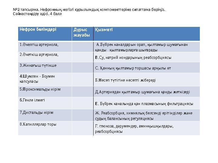 № 2 тапсырма. Нефронның негізгі құрылымдық компоненттеріне сипаттама беріңіз. Сәйкестендіру әдісі. 4 балл Нефрон бөлімдері Дұры
