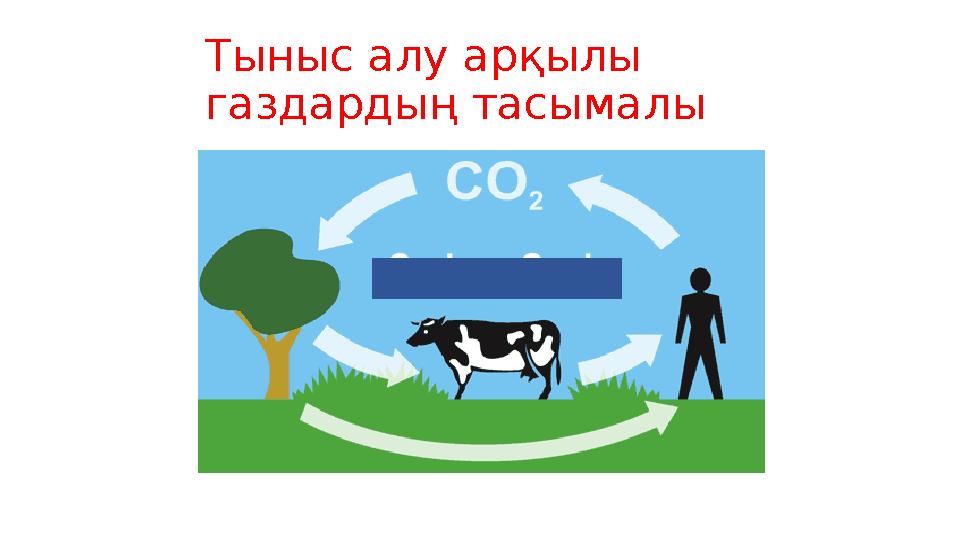 Тыныс алу арқылы газдардың тасымалы