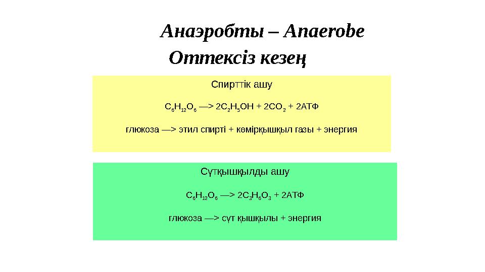 Анаэробты – Anaerobe Оттексіз кезең Спирттік ашу C 6 H 12 O 6 —> 2C 2 H 5 OH + 2CO 2 + 2АТФ глюкоза —> этил спирті + к