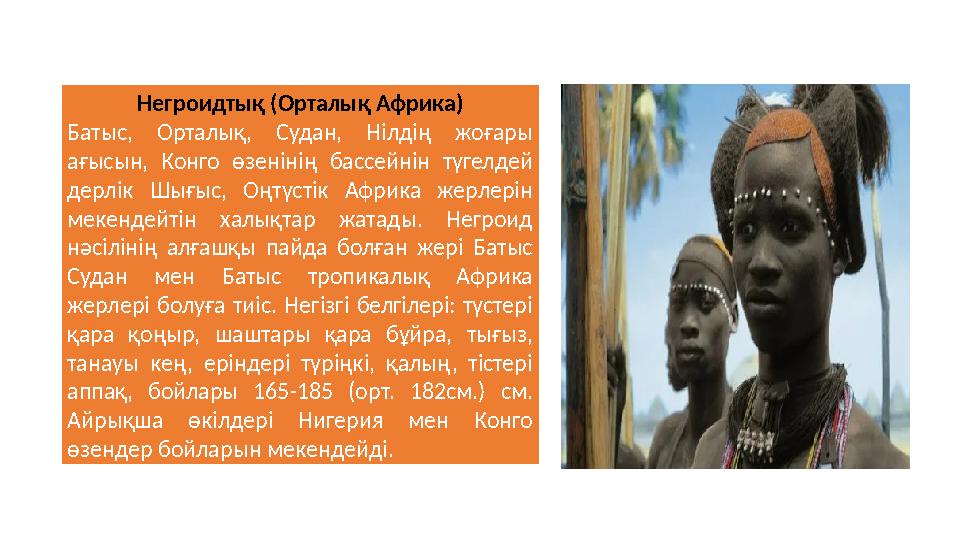 Негроидтық (Орталық Африка) Батыс, Орталық, Судан, Нілдің жоғары ағысын, Конго өзенінің бассейнін түгелдей дерлік Шығ