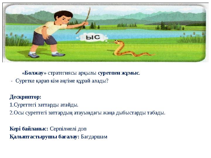 «Болжау» стратегиясы арқылы суретпен жұмыс . - Суретке қарап кім әңгіме құрай алады? Дескриптор: 1.Суреттегі