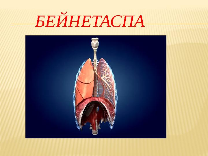 БЕЙНЕТАСПА