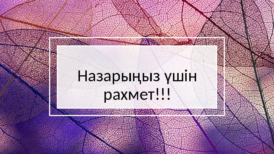 Назарыңыз үшін рахмет!!!