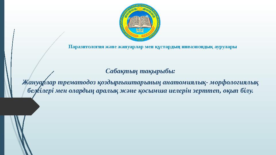 Желідегі пизды порно