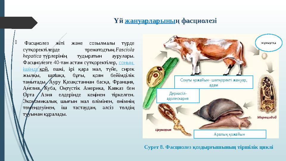 Жас брюнетка құмарлықпен және ләззатпен сикке секіреді Франциядан көркем порно