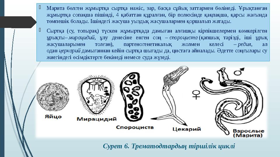 Порно күйеуінің достары әйелін сиқыған
