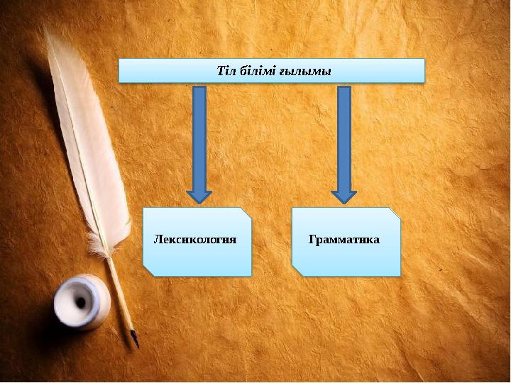 Т іл білімі ғылымы Лексикология Грамматика
