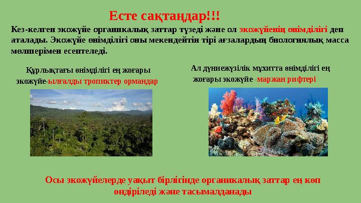 Азиялық фемдом фетиш түтігі Алғаш рет жыныстық қатынасқа түскенімде, жыныс мүшесім қатып қалмады.