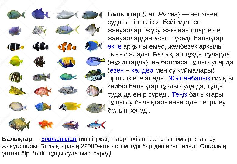 Балықтар ( лат. Pisces ) — негізінен судағы тіршілікке бейімделген жануарлар. Жүзу жағынан олар өзге жануарлардан асып түс