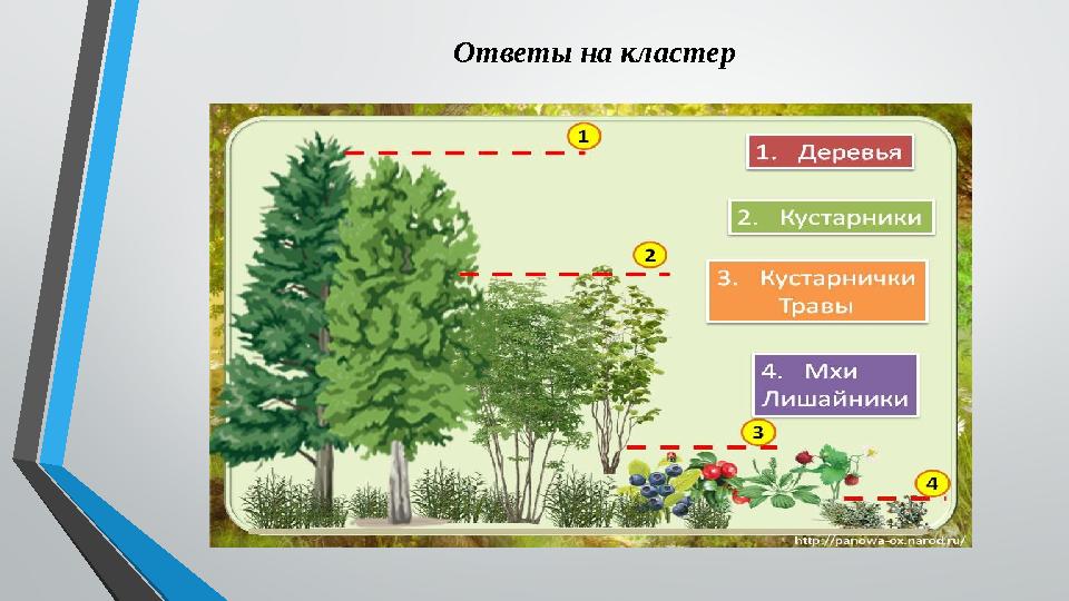 Ответы на кластер