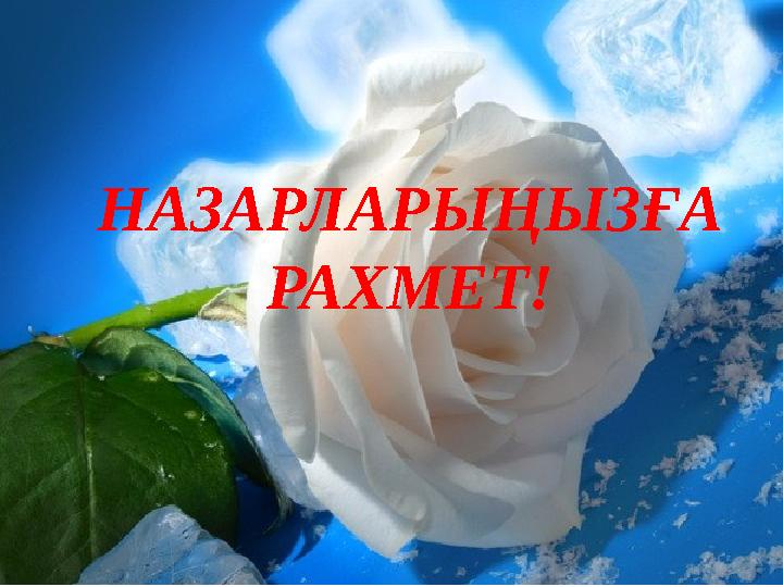 НАЗАРЛАРЫҢЫЗҒА РАХМЕТ!