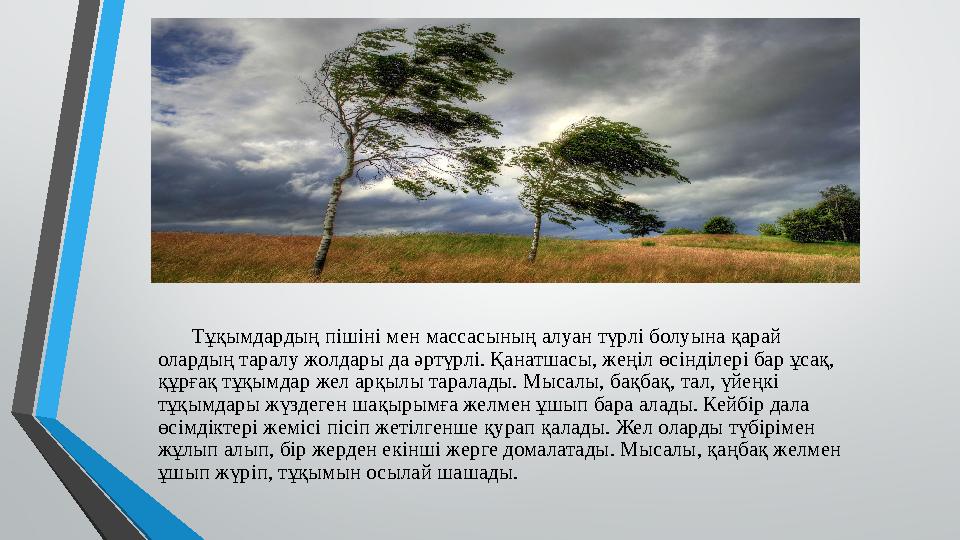 Тұқымдардың пішіні мен массасының алуан түрлі болуына қарай олардың таралу жолдары да әртүрлі. Қанатшасы, жеңіл өс