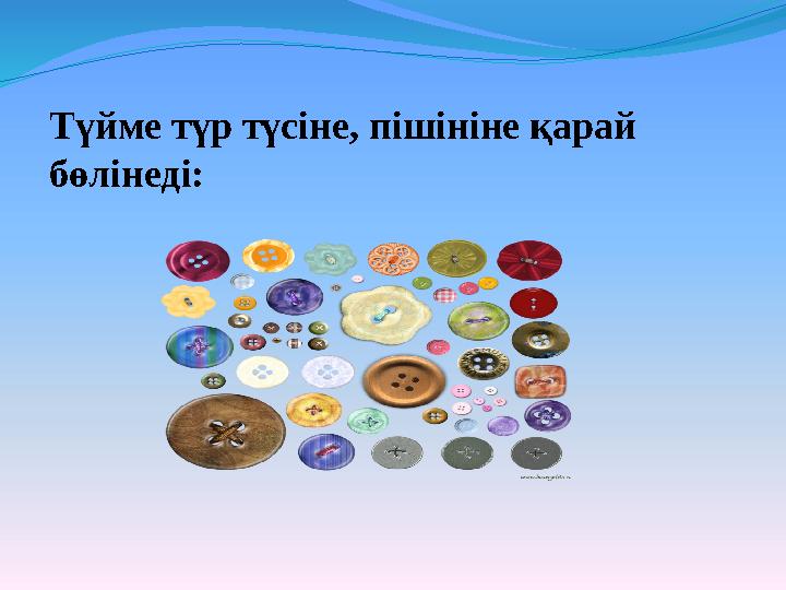 Түйме түр түсіне, пішініне қарай бөлінеді: