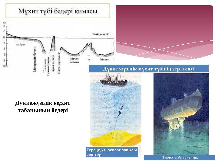 Дүниежүзілік мұхит табанының бедері