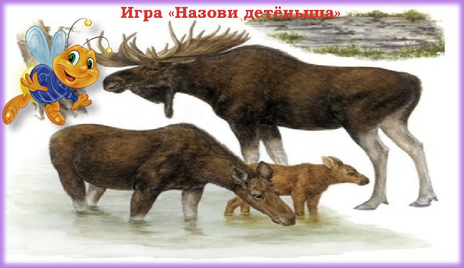 Игра «Назови детёныша»